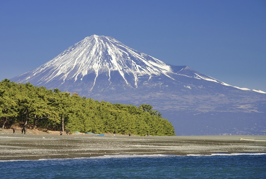 【靜岡微旅行】富士山世界遺產中心、卡斯柏麗莎小鎮、天上山狸貓纜車、伊豆之國空中花園‧美食溫泉４日